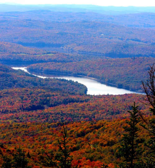A scenic view of a winding river surrounded by vibrant autumn foliage in rolling hills.