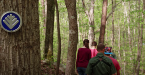 A group of hikers walking along a forest trail, with a blue trail marker visible on a tree.