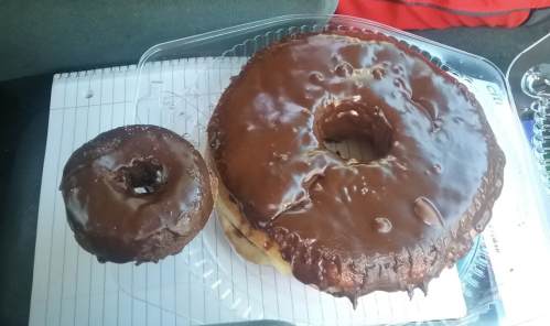 A large chocolate-covered donut next to a smaller chocolate-covered donut, both on a clear plastic container.