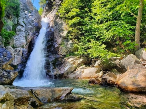 A serene waterfall cascades over rocky cliffs into a clear pool, surrounded by lush green trees.