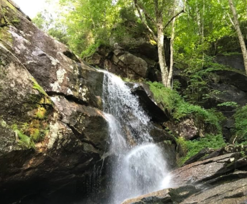 A serene waterfall cascading over rocky terrain, surrounded by lush green trees and foliage.