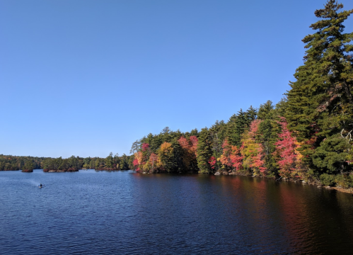 A serene lake surrounded by vibrant autumn foliage under a clear blue sky.