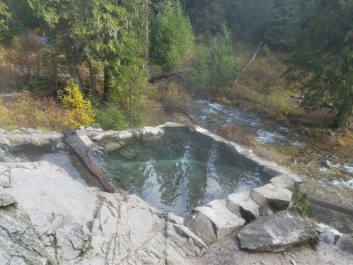 A natural hot spring surrounded by trees and a flowing stream, with rocky edges and clear water.
