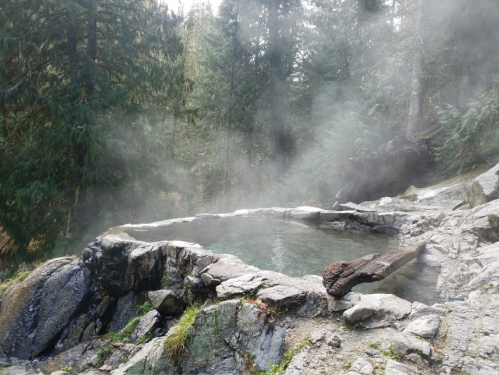 A natural hot spring surrounded by misty forest, with rocky edges and steam rising from the water.