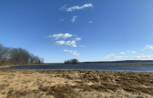A serene landscape featuring a calm lake, grassy shore, and scattered clouds under a clear blue sky.