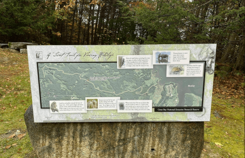 Map of a nature trail at Green Mt. National Estuarine Research Reserve, featuring wildlife information and trail details.