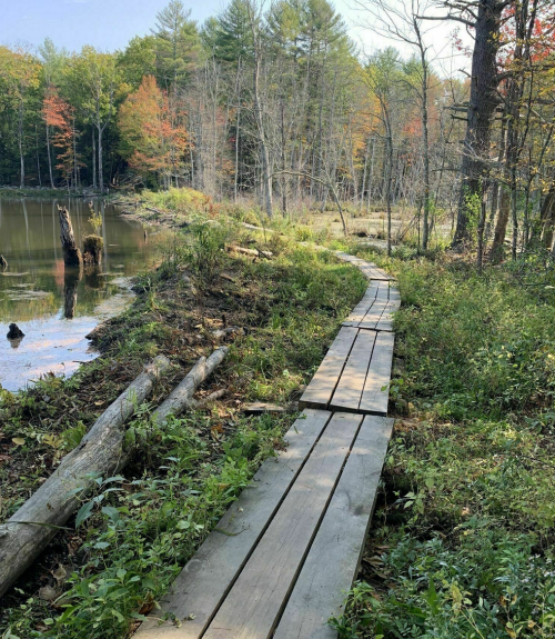 A wooden path winds through a forested area by a calm lake, surrounded by trees with autumn foliage.