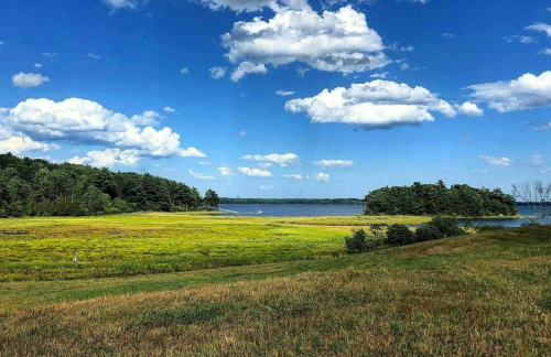 A serene landscape featuring a grassy field, a calm lake, and fluffy clouds under a bright blue sky.