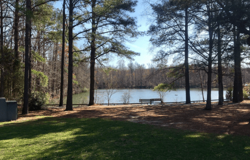 A serene lake surrounded by trees, with a bench by the water and a clear blue sky above.