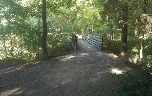 A wooden bridge spans a small path through a lush, green forest. Sunlight filters through the trees.