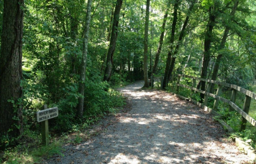 A gravel path winds through a lush green forest, with a sign for "River Brook" visible on the left.