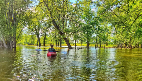 A person kayaking through a lush, green forest with trees reflected in the calm water on a sunny day.