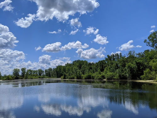 A serene lake reflecting fluffy clouds and lush green trees under a bright blue sky.