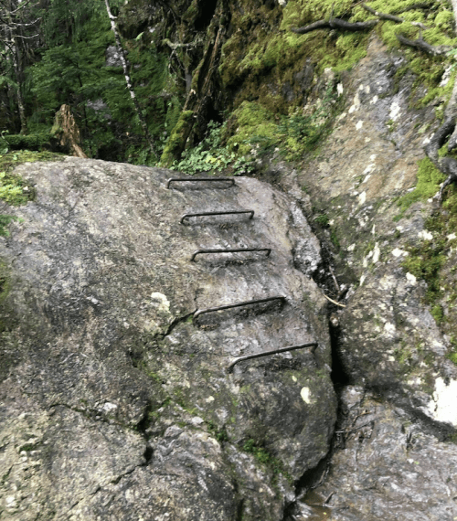 Metal spikes embedded in a large rock, surrounded by moss and greenery in a forested area.