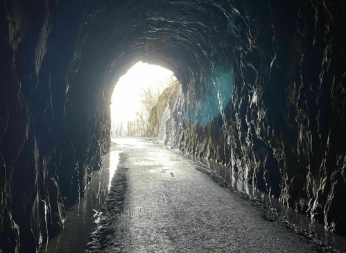 A dark tunnel with a light at the end, revealing a path and rocky walls, surrounded by nature.