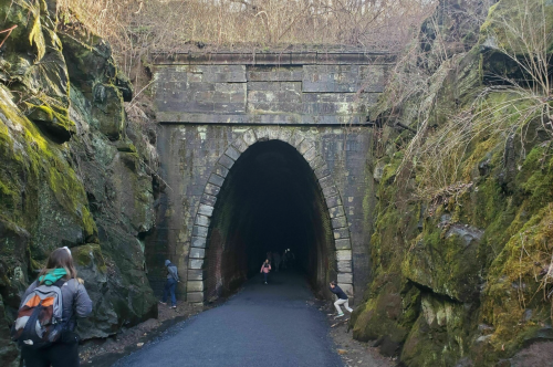 A dark stone tunnel surrounded by mossy rocks, with people walking towards the entrance.