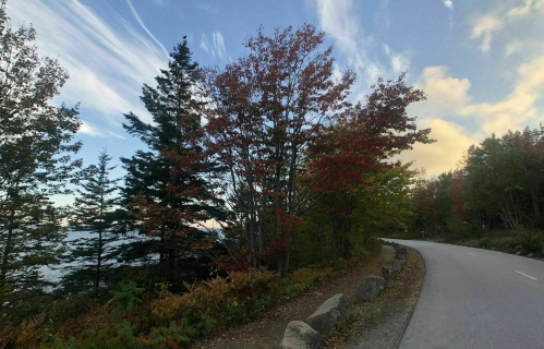 A scenic road lined with trees displaying autumn colors under a blue sky with wispy clouds.