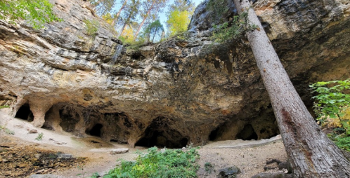 A rocky cave entrance surrounded by trees and greenery, with several openings in the stone wall.