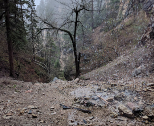 A misty forest scene with a rocky path, trees, and a steep canyon in the background.