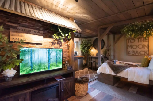 Cozy cabin interior with a TV, bed, and rustic decor, featuring greenery and warm lighting.
