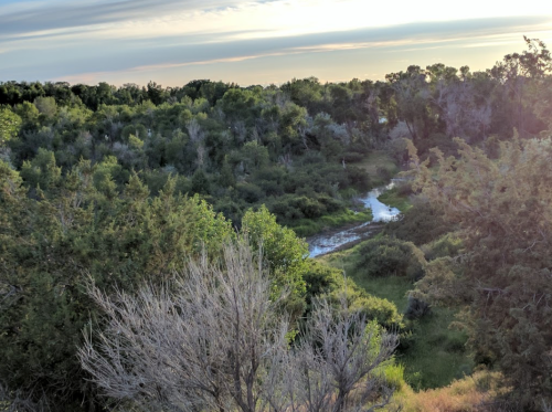 A serene landscape featuring a winding stream surrounded by lush greenery and trees under a cloudy sky.