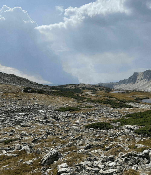 A rocky landscape with sparse vegetation under a cloudy sky, featuring distant mountains and a winding river.