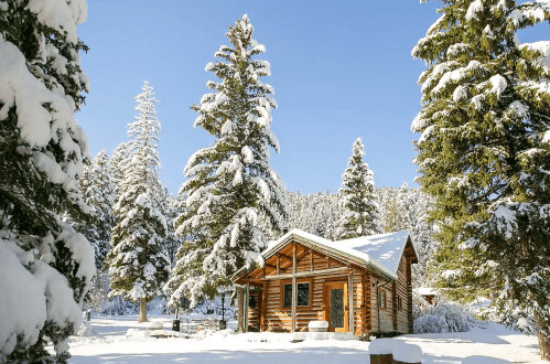 A cozy log cabin surrounded by snow-covered trees under a clear blue sky.