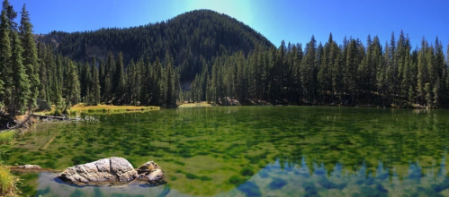A serene lake surrounded by lush green trees and a mountain under a clear blue sky.