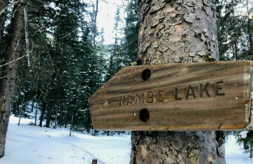 Wooden signpost reading "Nambe Lake" on a tree in a snowy forest. Pine trees in the background.