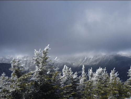 Snow-covered trees in a mountainous landscape under a cloudy sky.