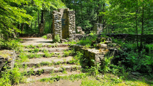 Stone ruins with steps, surrounded by lush greenery and trees in a forested area.