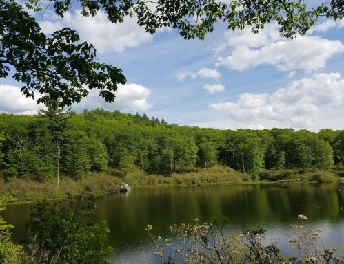 A serene lake surrounded by lush green trees under a partly cloudy sky.