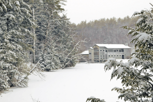A snowy landscape featuring a modern house surrounded by tall trees and a frozen lake.