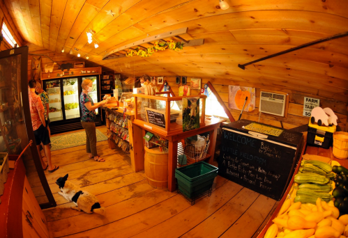 A cozy farm stand interior with wooden walls, shelves of produce, and customers browsing, including a dog on the floor.