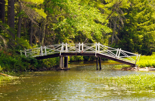 A wooden bridge with white railings spans a calm stream, surrounded by lush green trees and foliage.