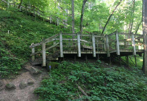 A wooden walkway winds through lush green foliage on a hillside, surrounded by trees and plants.