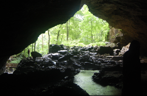 A cave entrance framed by lush greenery, with rocky terrain and a figure standing in the distance.