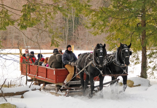 A horse-drawn sleigh carries passengers through a snowy landscape, surrounded by trees and a frozen lake.