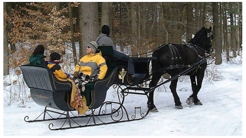 A horse-drawn sleigh carries passengers through a snowy forest, surrounded by trees and winter scenery.