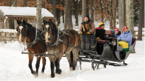 A horse-drawn sleigh carries passengers through a snowy landscape, surrounded by trees.