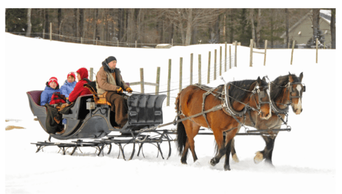 A horse-drawn sleigh carries passengers through a snowy landscape, surrounded by trees and a fence.