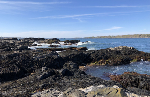 Rocky coastline with waves crashing against the shore under a clear blue sky.