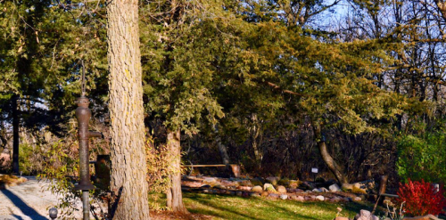 A serene outdoor scene featuring trees, rocks, and a grassy area, with sunlight filtering through the foliage.