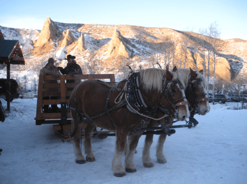 Two horses harnessed to a wooden sled, with two people seated, set against a snowy mountain backdrop.