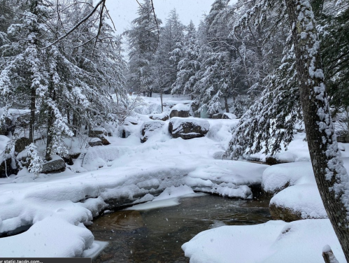 A snowy landscape with trees and rocks, featuring a small stream partially covered in snow. Flurries are falling.