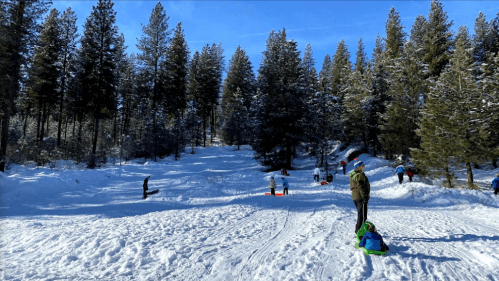 A snowy landscape with people sledding down hills, surrounded by tall pine trees under a clear blue sky.