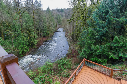 A serene river flows through a lush forest, with a wooden deck in the foreground overlooking the water.