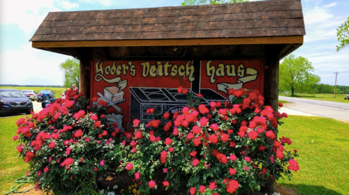A colorful sign for Yoder's Deitsch Haus surrounded by vibrant red roses and greenery on a sunny day.
