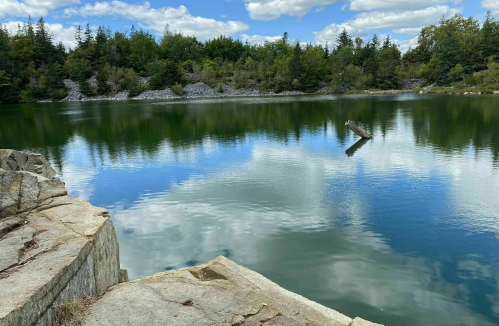 A serene lake surrounded by trees, reflecting clouds and a log on the water's surface, with rocky edges in the foreground.