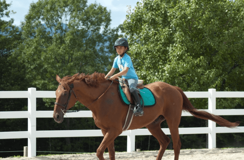A child in a helmet rides a brown horse, wearing a turquoise shirt and green saddle pad, in a fenced outdoor area.
